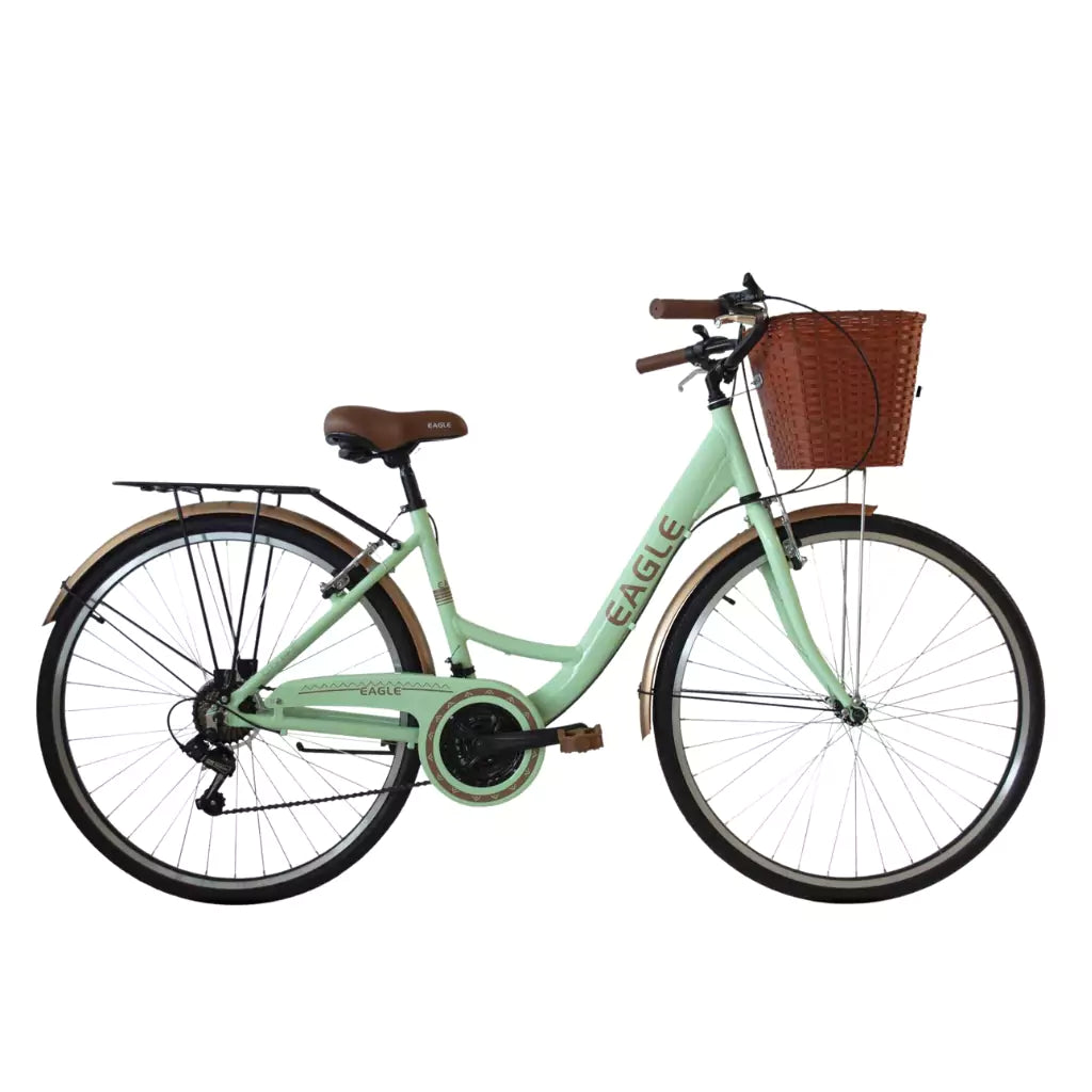 Repuestos bicicletas on sale clasicas