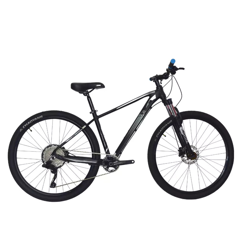 BICICLETA ARO 29 HAWK 12 VELOCIDADES