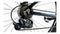 Bicicleta gw zebra rin 29 Aluminio 21 V. Hidraúlico