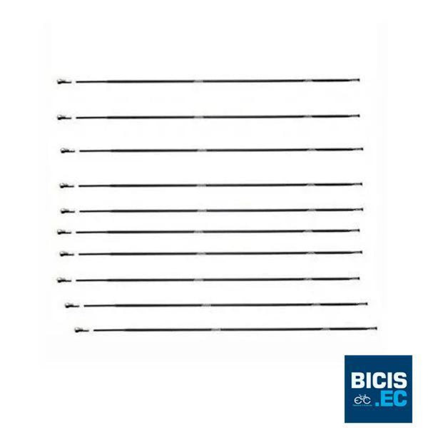 Kit de 10 Radios MAVIC AKSIUM 282mm